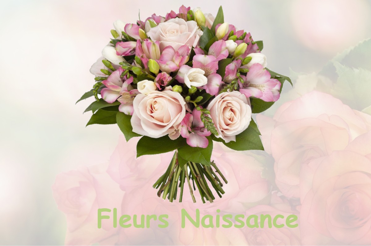 fleurs naissance L-HUISSERIE